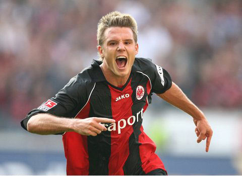 系统化的青 系统化的青